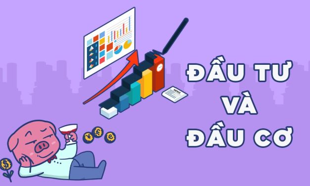 Phân biệt đầu tư và đầu cơ trong thị trường crypto
