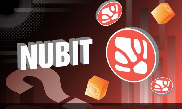 Nubit là gì? Hướng dẫn làm Airdrop dự án Nubit