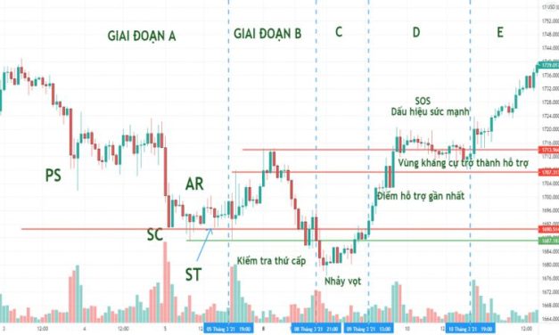 Các thuật ngữ Wyckoff thường sử dụng trong giai đoạn tích lũy cổ phiếu