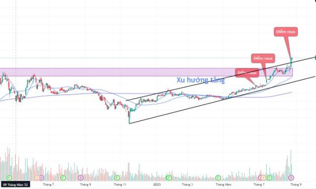 Trend Following: Chiến lược giao dịch đi theo xu hướng của Jesse Livermore, Richard Wyckoff, Ed Seykota